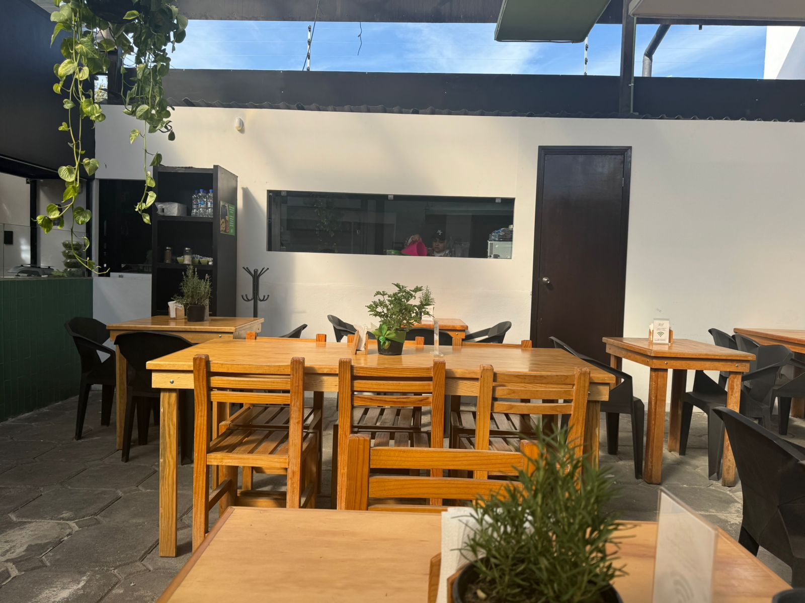 Zona comida 5
